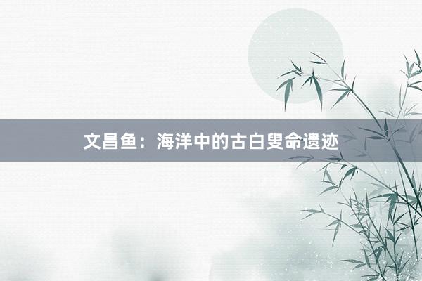 文昌鱼:海洋中的古白叟命遗迹